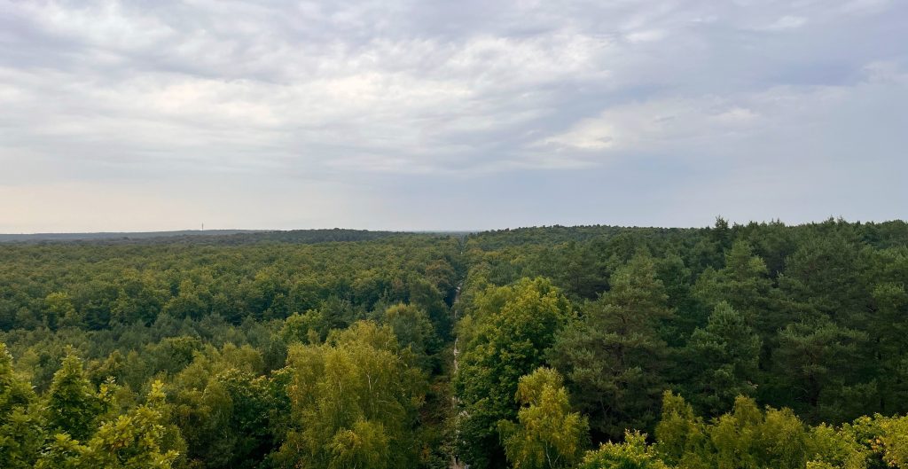 The Ancient History of Chambon-la-Forêt (Part I – Gallo-Roman&nbsp;Mysteries)